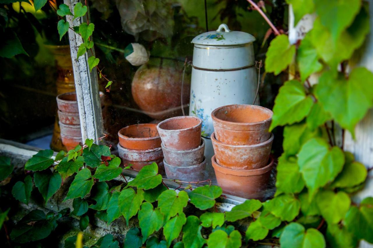 Jardin Et Hotel Particulier Bayeux Kültér fotó